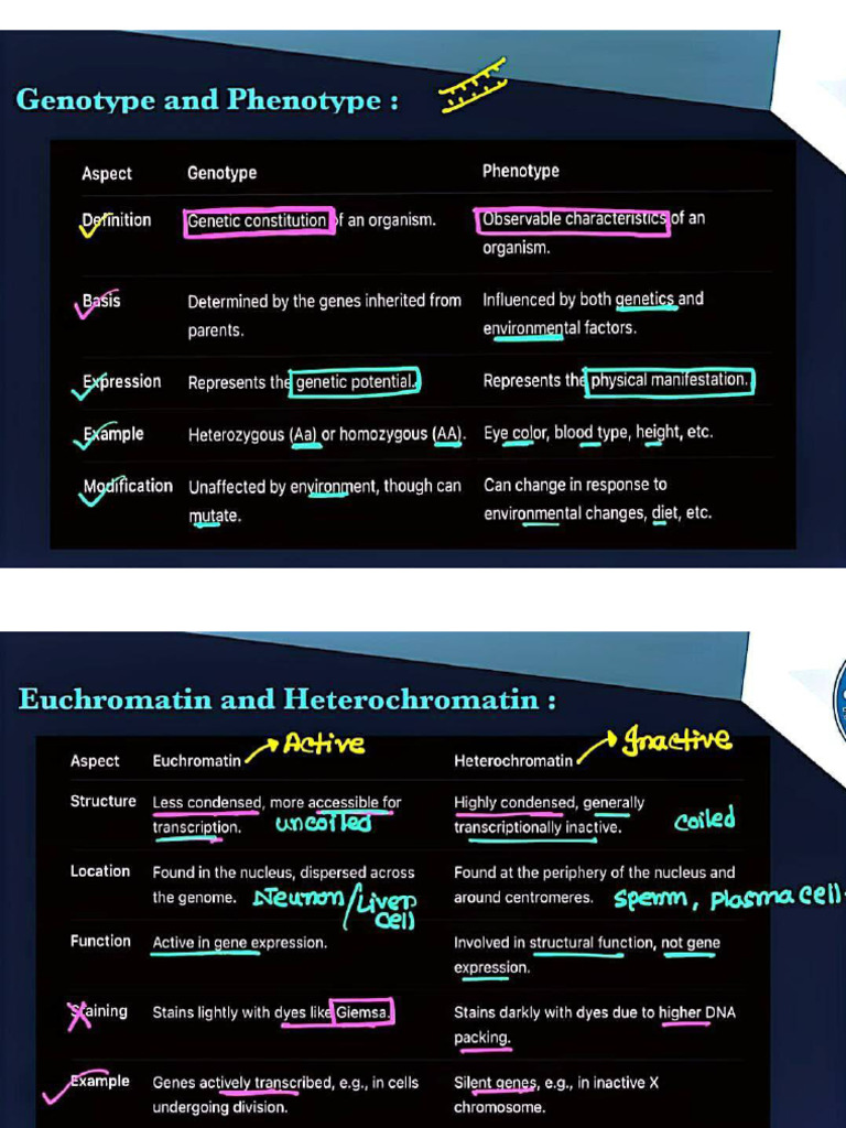 Difference 1 | PDF