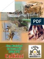 Plan Desarrollo Municipal CALKINI 2009-2012