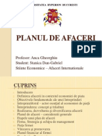 Planul de Afaceri - Stanica gabriel An II, Ai