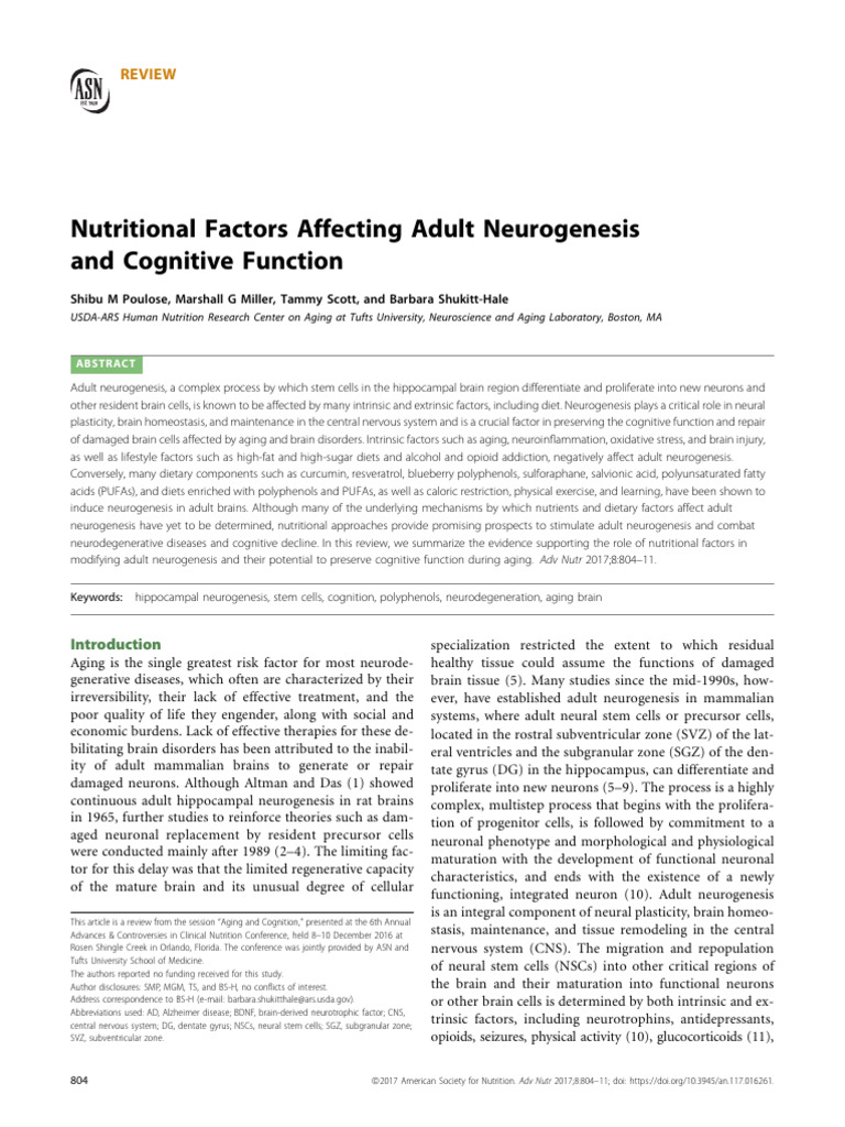Nutrition Factores Affecting Adult Neurogenesis and Cognitive Function ...