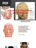 Anatomy and Structure of Lips | PDF | Lip | Human Anatomy