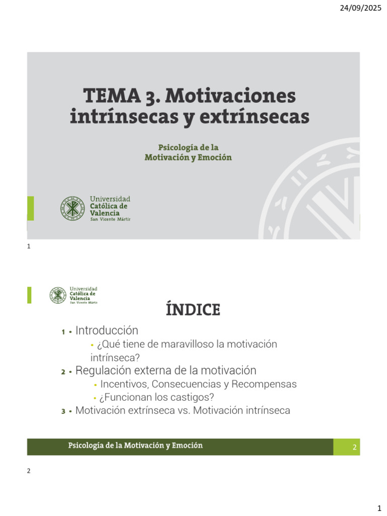 TEMA 3. Motivaciones Intrínsecas y Extrínsecas | PDF | Motivación ...