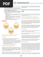 Causas de Rinorrea Unilateral y Rinolicuorrea | PDF | Enfermedades ...