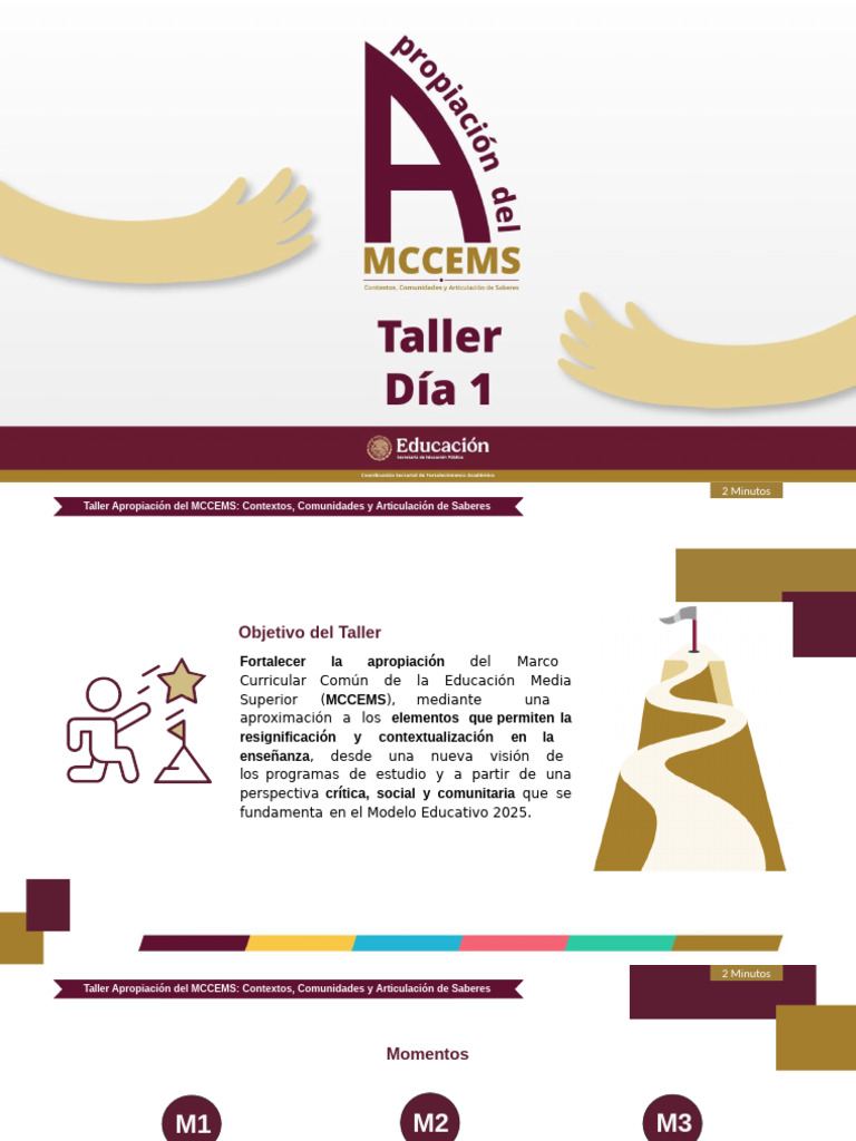 Taller sobre Apropiación del MCCEMS | PDF | Plan de estudios | Maestros