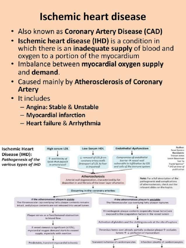 Ischemic Heart Disease | PDF