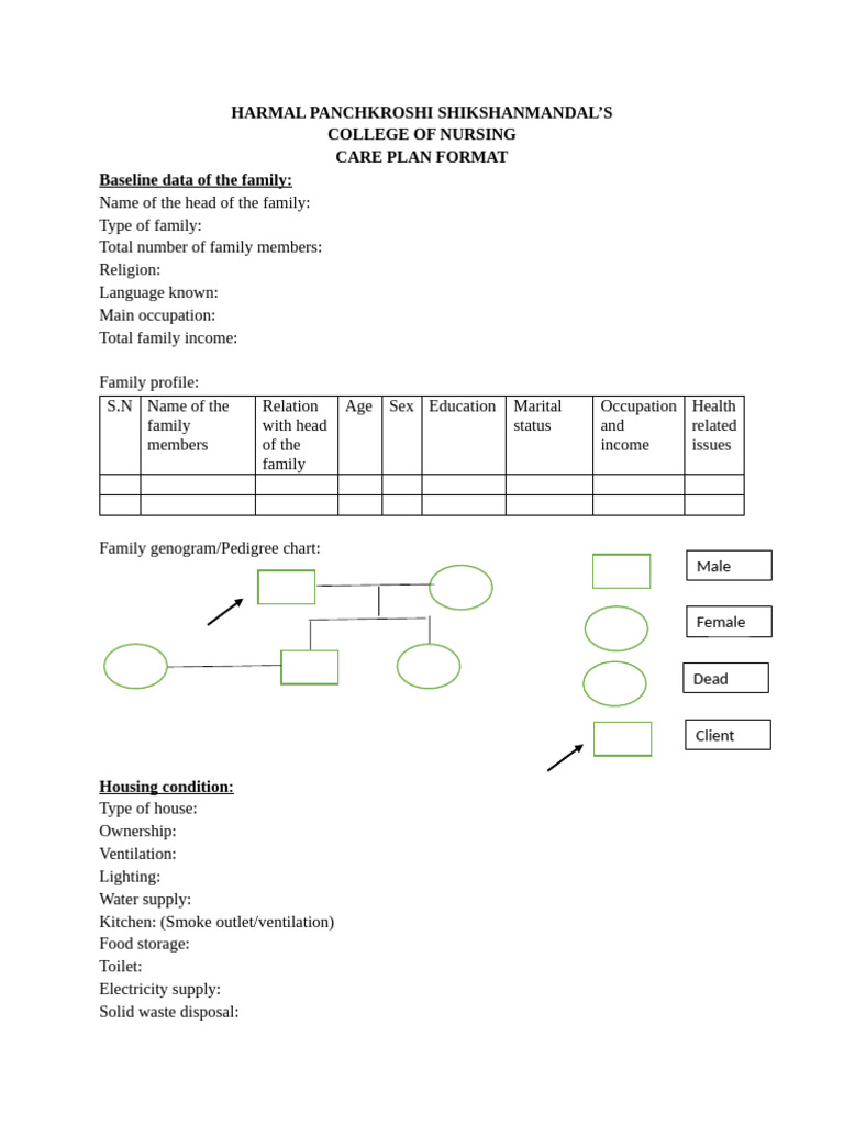 Care Plan Format | PDF | Pregnancy | Medical Specialties