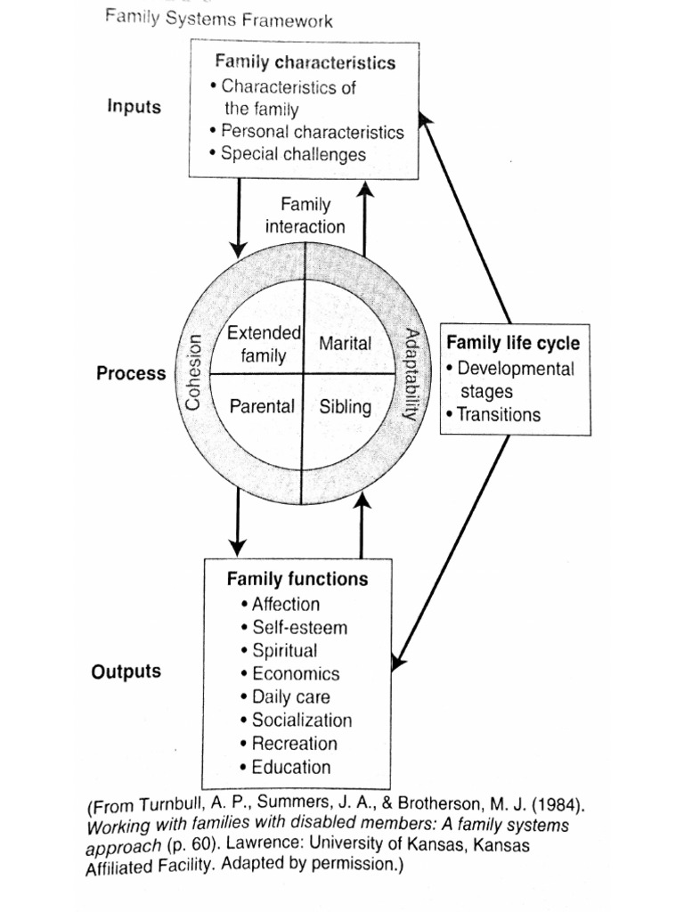 Family Systems | PDF