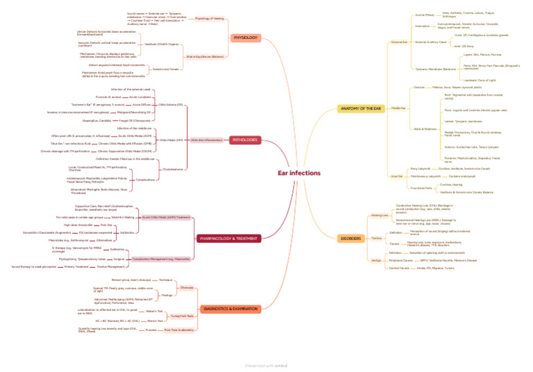 Ear Infections Concept Map | PDF | Ear | Auditory System