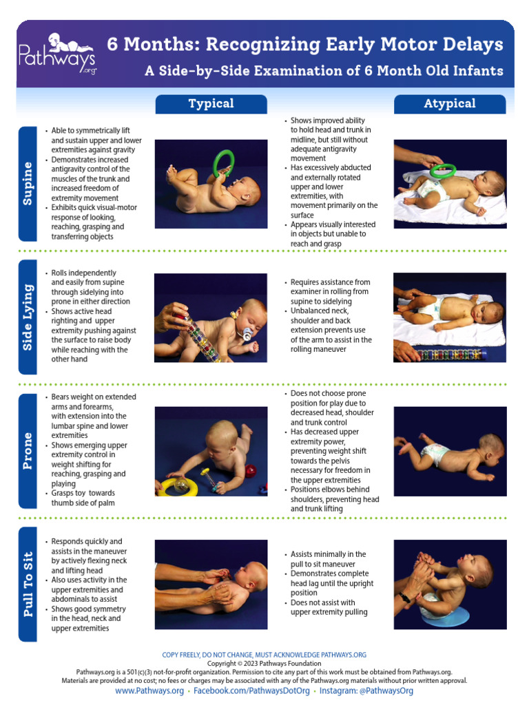 6MonthMotorDelays 2023copyright | PDF | Anatomical Terms Of Motion ...