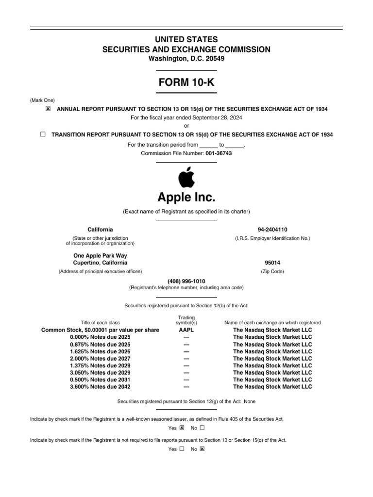 10 Q4 2024 As Filed Halaman 1 | PDF | Equity (Finance) | Form 10 K