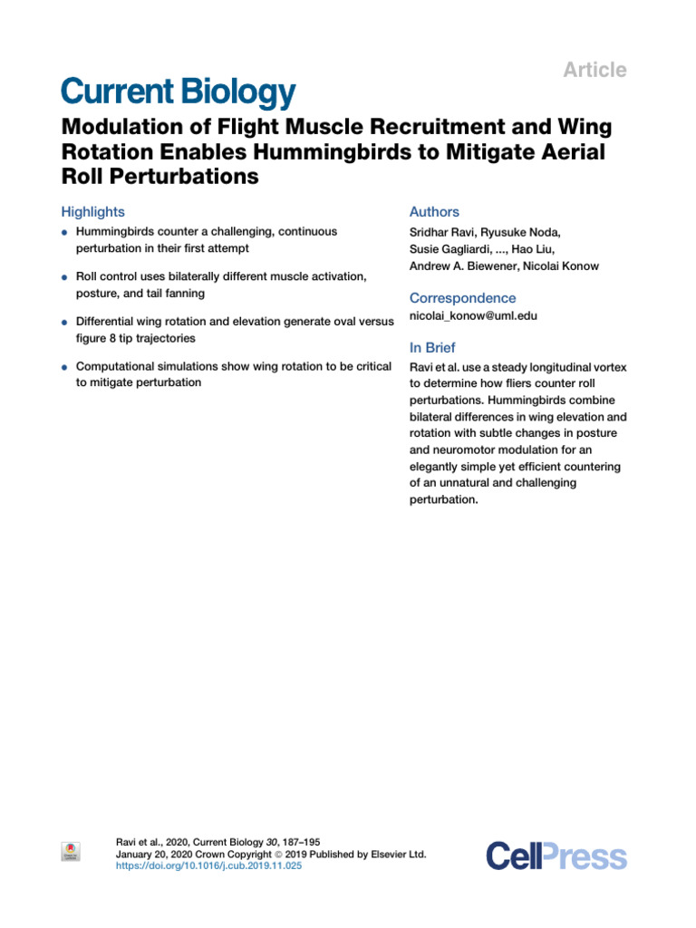 Hummingbirds' Flight Control Mechanisms | PDF | Flight | Wing