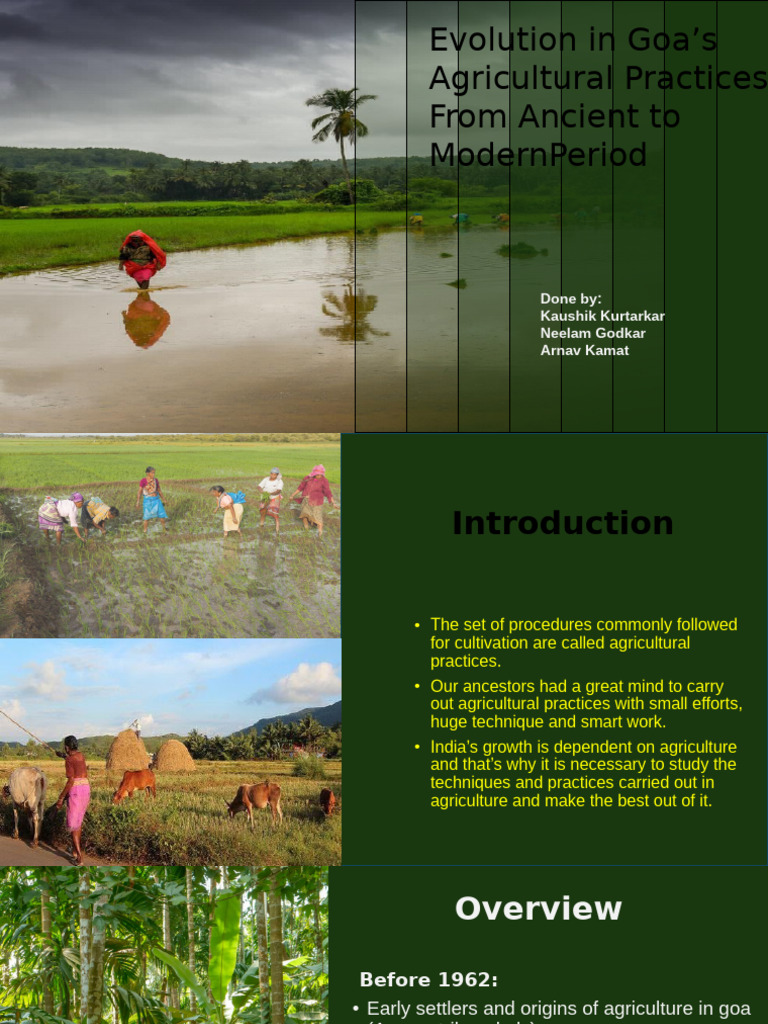 Goa's Agricultural Evolution: Ancient to Modern | PDF | Agriculture ...