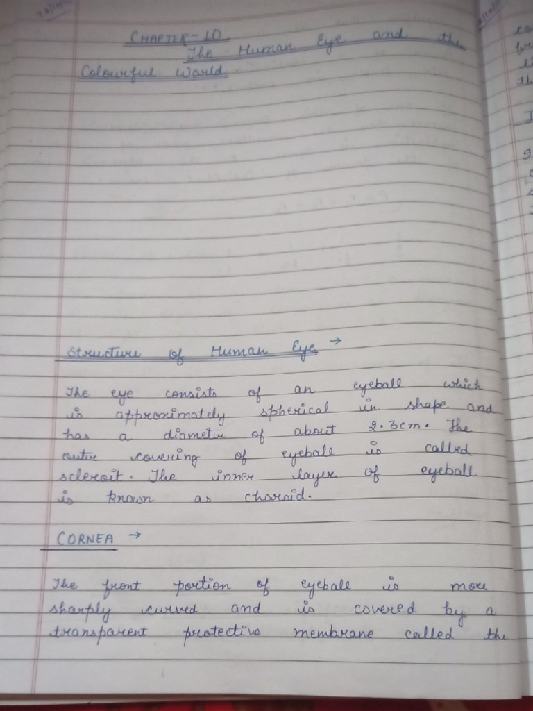 Human Eye Notes | PDF