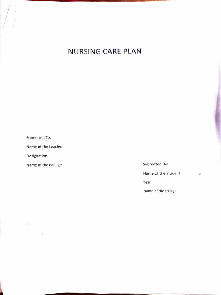 Care Plan Format | PDF