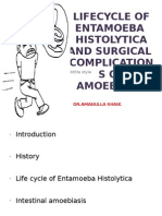 Lifecycle of Entamoeba