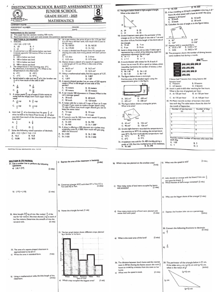 Grade 8 Maths and English | PDF