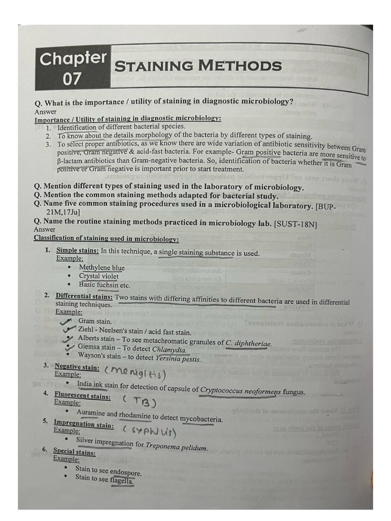 Staining | PDF