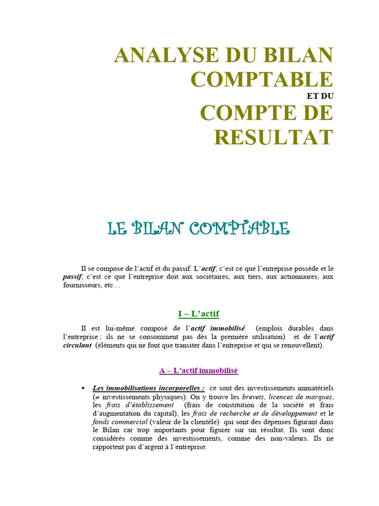 Analyse du Bilan et Compte de Résultat | PDF | Revenu brut | Ratio ...