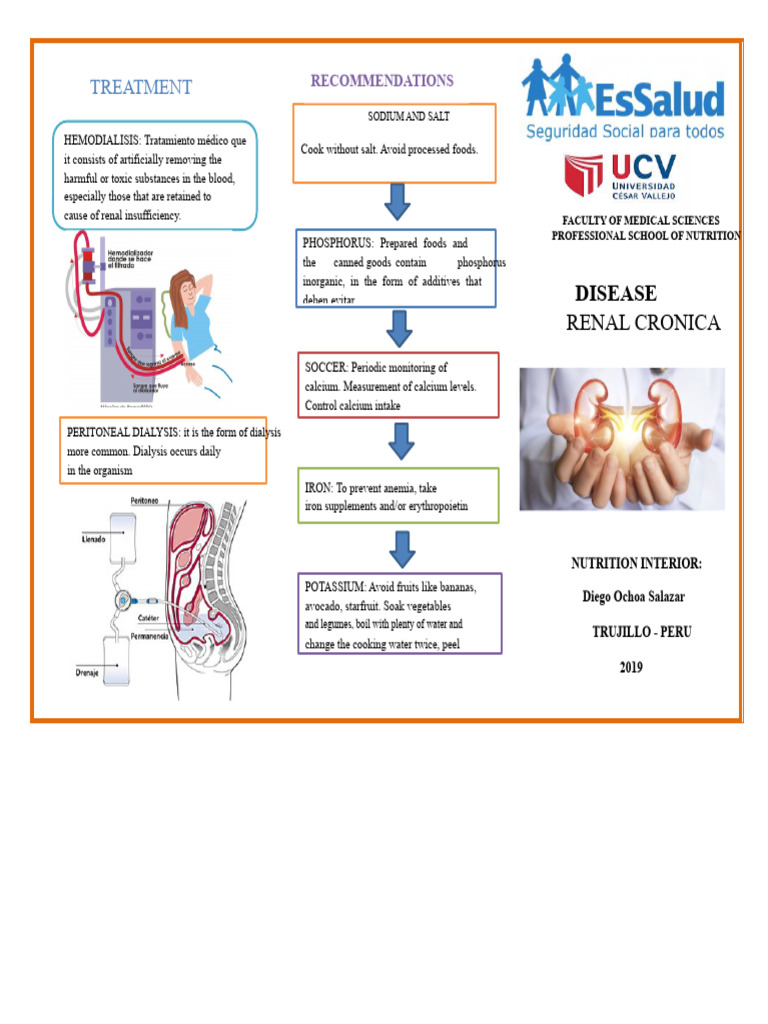 Chronic Kidney Disease Management Guide | PDF | Kidney | Chronic Kidney ...