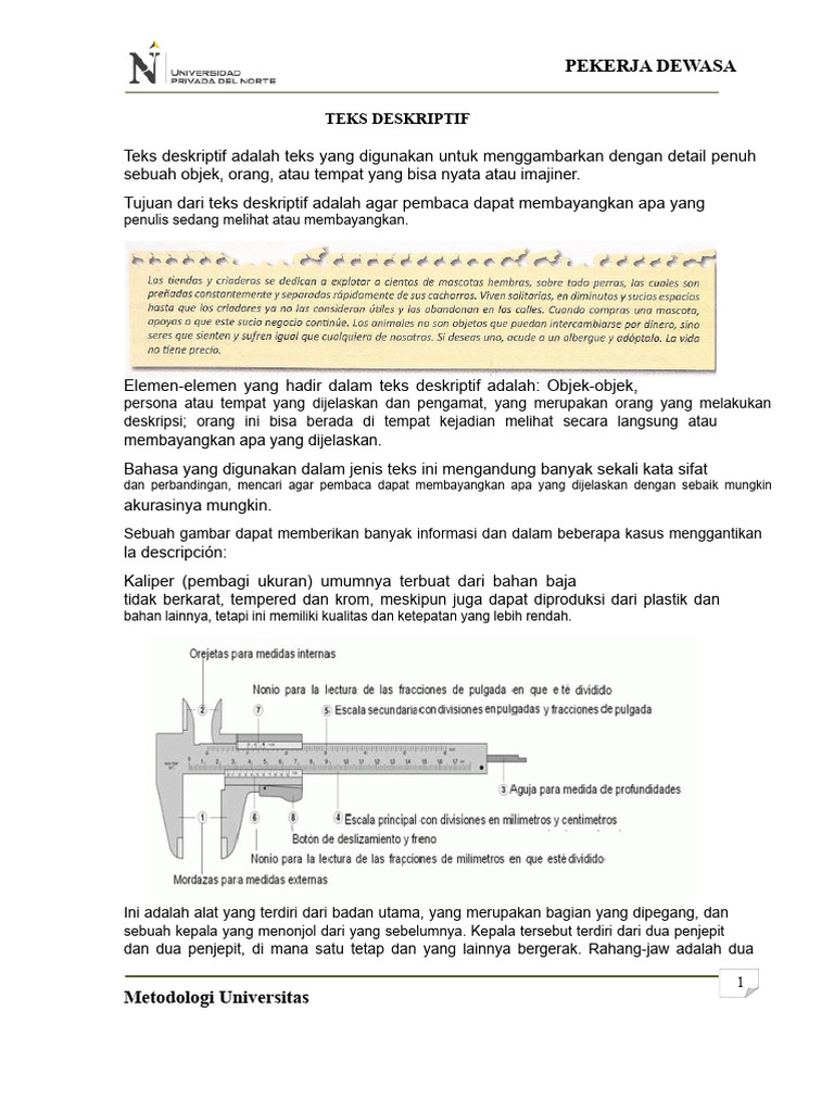 Teks Deskriptif | PDF