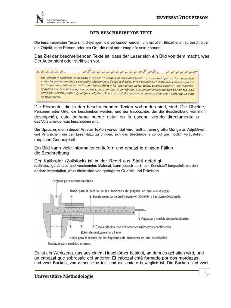 Der Beschreibende Text | PDF