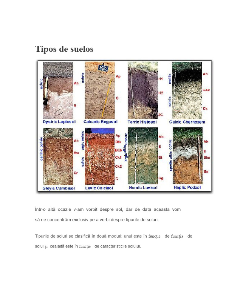 Tipuri de Soluri | PDF