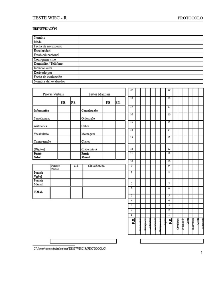 Protocolo do Teste WISC-R | PDF