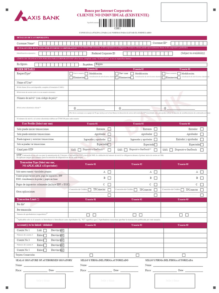 Formulario CIB Corporativo | PDF | Bancos | Contraseña