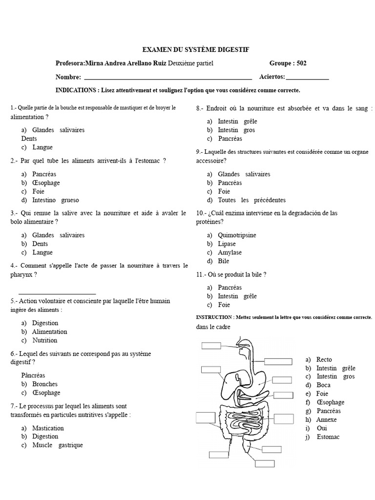 Examen sur le système digestif | PDF | Tractus gastro-intestinal ...