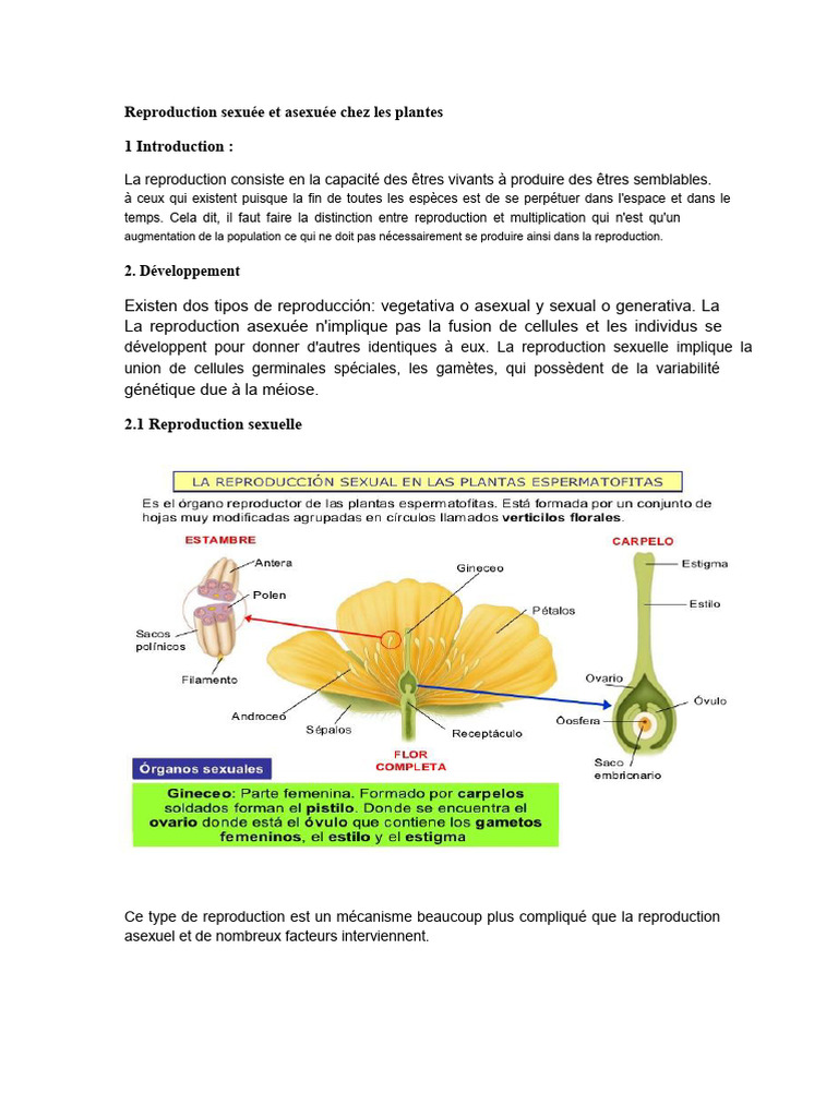 Reproduction des Plantes : Sexuée et Asexuée | PDF | Sexe | Spore