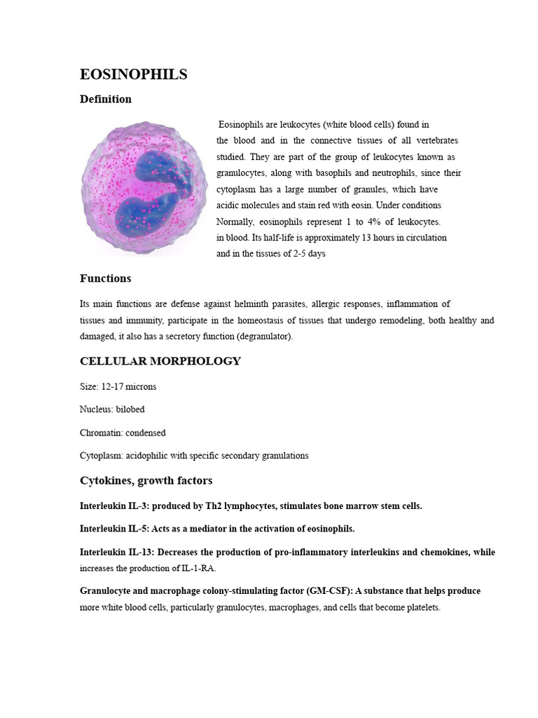 EOSINOPHILS | PDF | Granulocyte | White Blood Cell