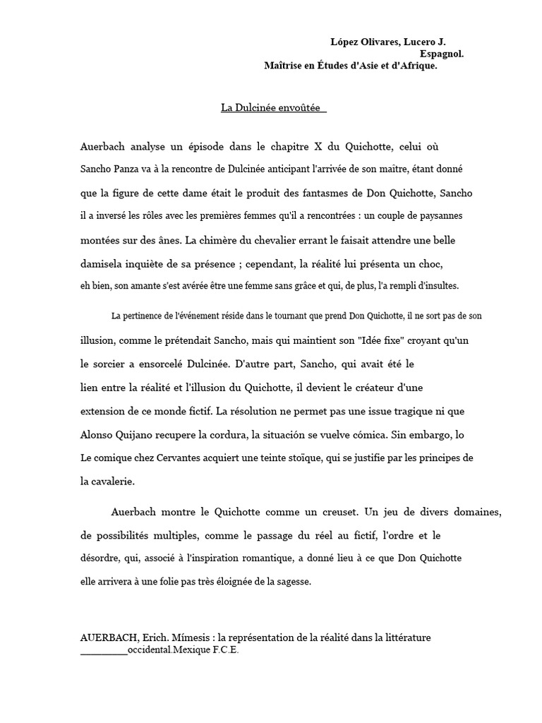 Analyse de Dulcinée dans Don Quichotte | PDF
