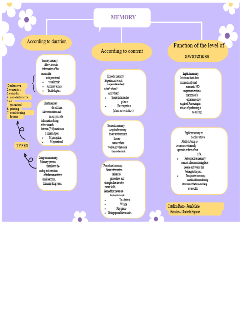Types of Memory Explained | PDF | Memory | Long Term Memory