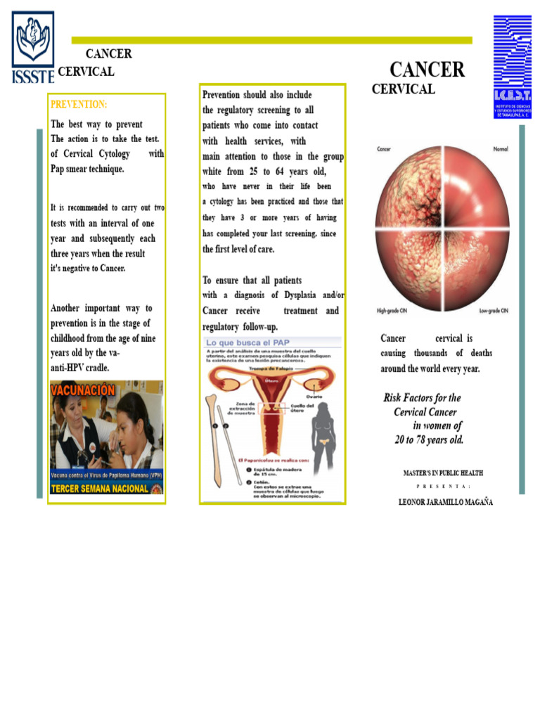 Cervical Cancer Prevention and Screening | PDF | Cervical Cancer ...