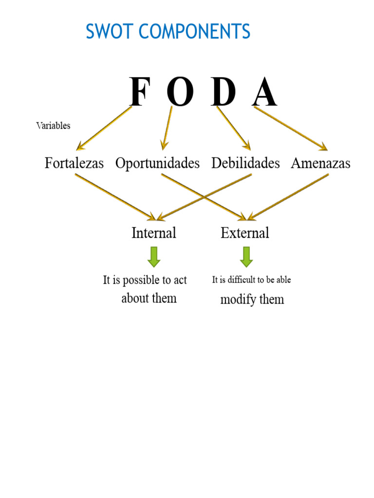 SWOT Analysis Components Explained | PDF | Swot Analysis | Business