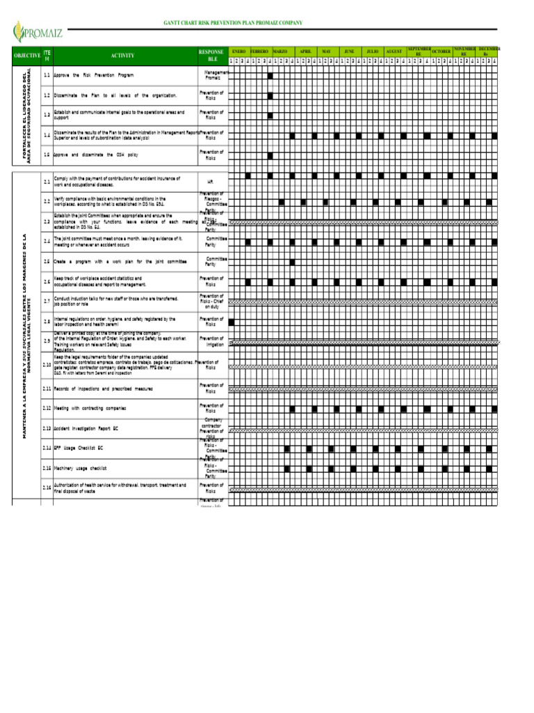 Promaiz Gantt Chart Risk Prevention Plan | PDF | Occupational Safety ...