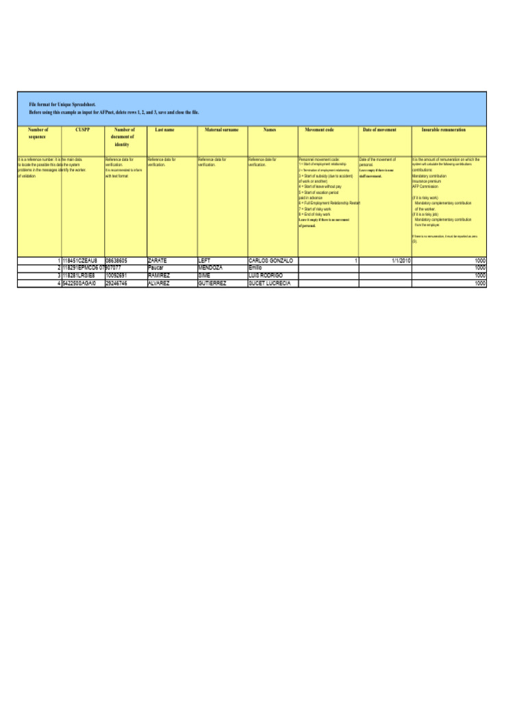 Unique Spreadsheet Format Guide | PDF | Employment
