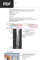 Elbow X-Ray Positioning Techniques | PDF | Elbow | Arm