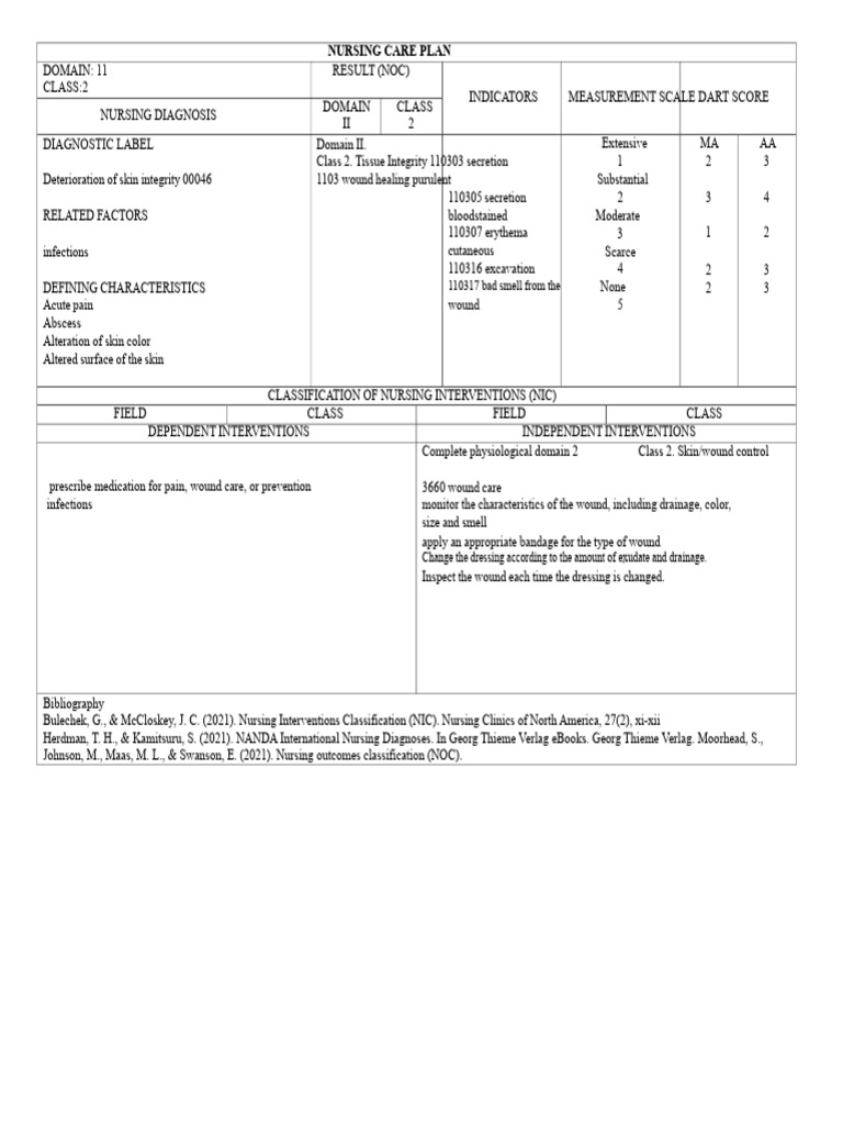 Nursing Care Plan for Skin Integrity Issues | PDF | Wound | Nursing