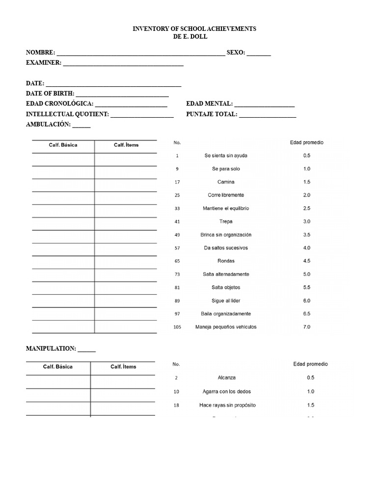 Preschool Achievements Inventory Protocol | PDF