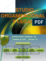 Estudio Organizacional y Legal Fpunisangil