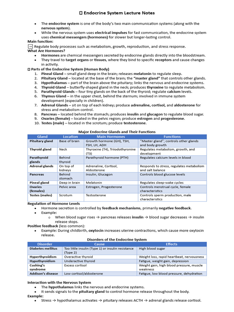 Endocrine System Overview and Functions | PDF | Endocrine System | Hormone