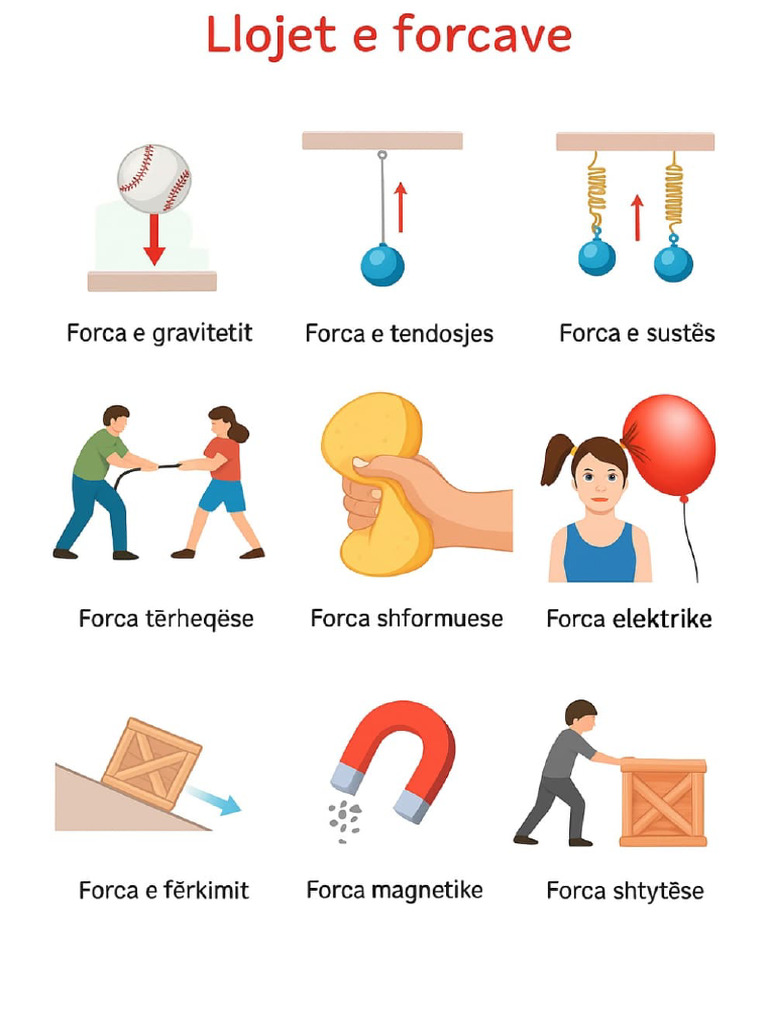 Llojet e Forcave | PDF