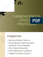 Carbohidratos, Lípidos y Proteínas