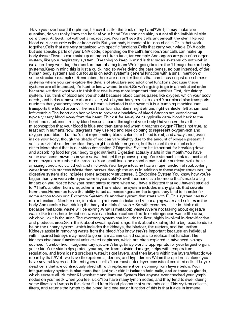 Export Word 6 Human Body Systems Overview Updated 2024 Mp4 04 09