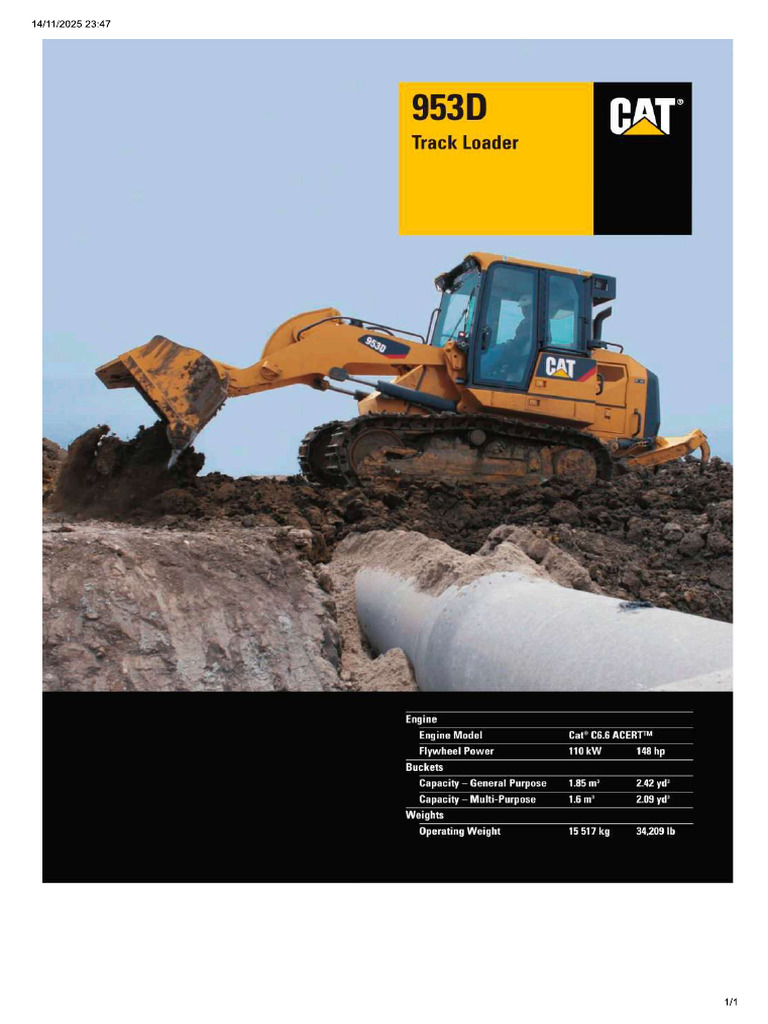 Cat 2 | PDF