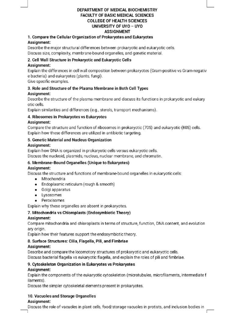 Assignment Phoenix | PDF