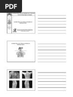 29 GRAD 2008 Thais Helena