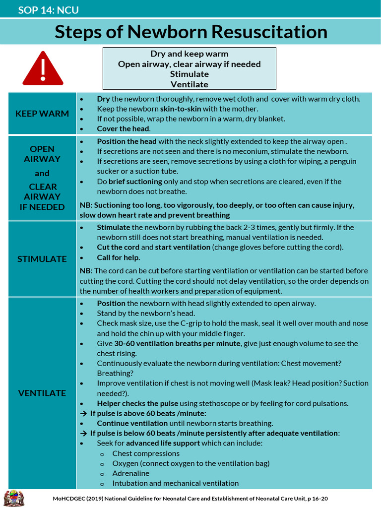 Newborn Resuscitation Steps Guide | PDF | Cardiopulmonary Resuscitation ...