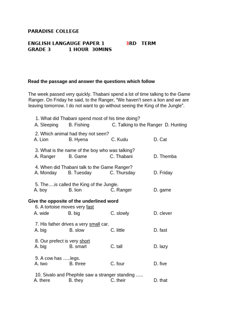 Grade 3 English Language Exam Paper | PDF